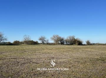 Campo · 120000ha · Venta Campo de 12 Has Capilla del Señor