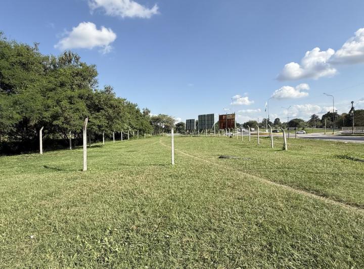 Terreno · 1363m²