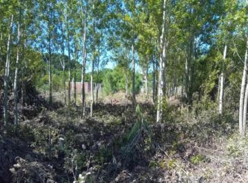 Terreno · 500m² · Terreno en Venta - 500 m² - Nueva Atlantis