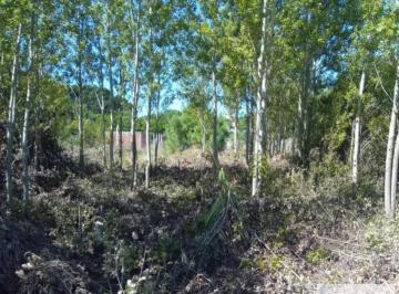 Terreno · 500m² · Terreno en Venta - 500 m² - Nueva Atlantis