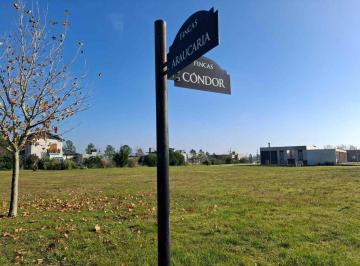 Terreno · 2312m² · Lote Fincas de San Vicente