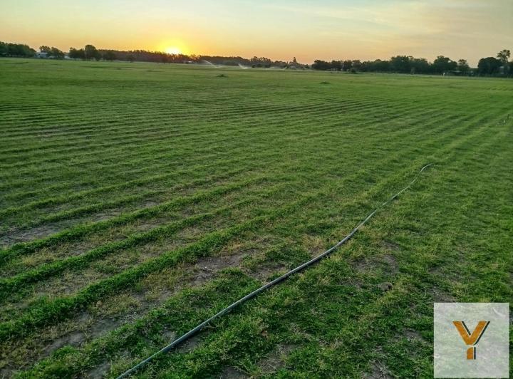 Campo · 130m² · 4 Ambientes