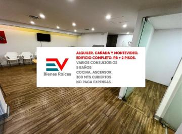 Depósito · 300m² · 15 Ambientes · Alquiler. Edificio Completo. Pb + 2 Pisos. Cañada y Montevideo