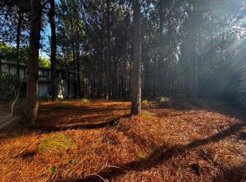 Terreno , Costa Esmeralda · Lote en Venta en Senderos IV