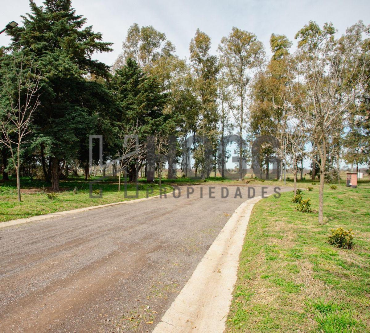 Colectora Ruta 8 . Entre Camino ricardo guiraldes, San Antonio de Areco, San Antonio de Areco