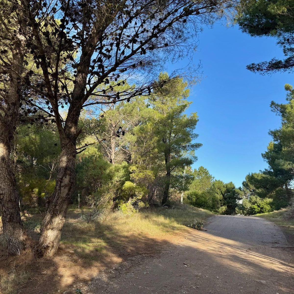 El Gavilán entre Lechuzas y Maipu,  Pinar del Golf, Monte Hermoso
