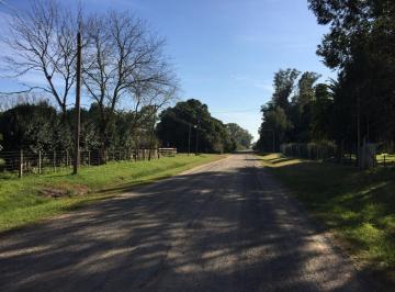 Terreno , Chascomús · Carlos Pellegrini y Diagonal 7 de Noviembre Lote en Venta, Chascomus.