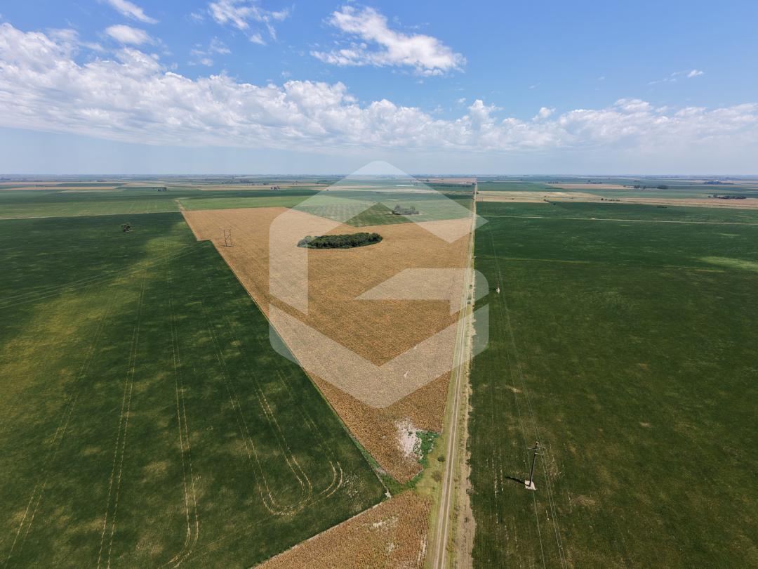 Venta Campo - Camino de la Legua 325, Barrancas, Santa Fe