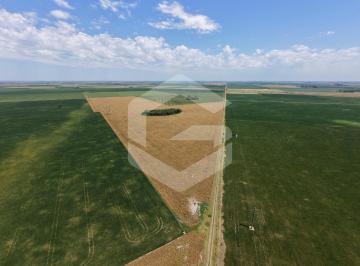 Campo · 190000ha · Campo en Venta