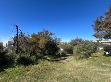 Terreno · 1170m² · Terreno en Barrio La Rufina