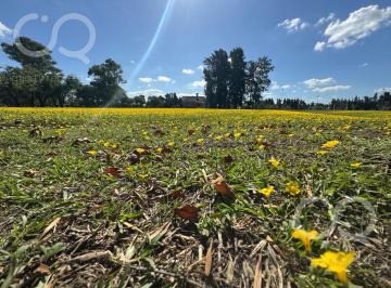 Terreno · 1200m² · Terreno en Barrio Fincas de San Vicente - Sporting Club