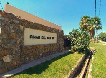 Terreno · 765m² · Terreno en Venta - Calle Terrada - Luján de Cuyo