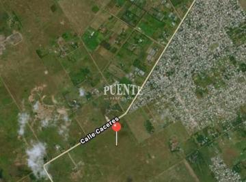 Campo · 10000m² · Terreno - San Vicente - Canning - Ruta 16 - Ruta 58