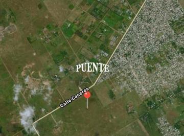 Campo · 10000m² · Terreno - San Vicente - Canning - Ruta 16 - Ruta 58