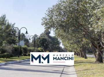 Terreno · 800m² · Terreno en Saint Thomas Centro Venta