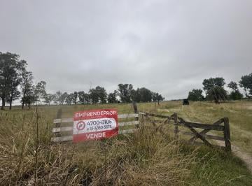 Terreno · 60000m² · Campo de 6 Hectáreas a m de Ruta 6, San Vicente.