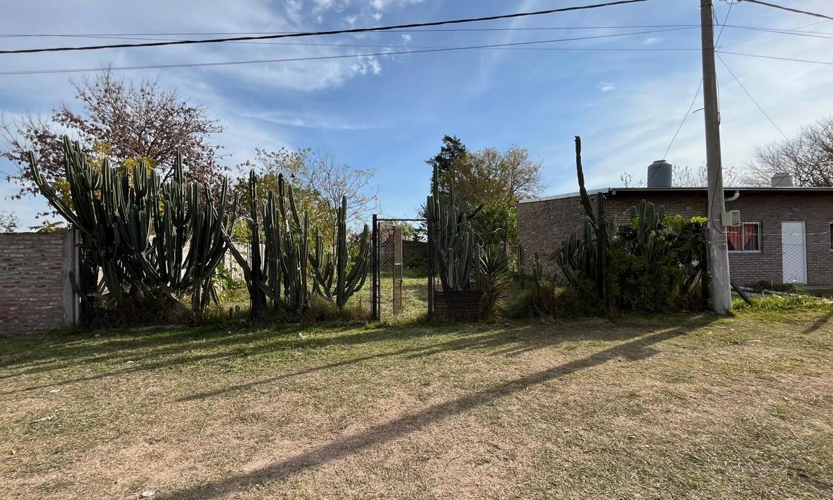 Los Pinos al 100, Ibarlucea, Santa Fe
