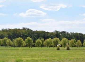 Terreno · 2102m² · Venta de Terreno en Campos de Roca 2