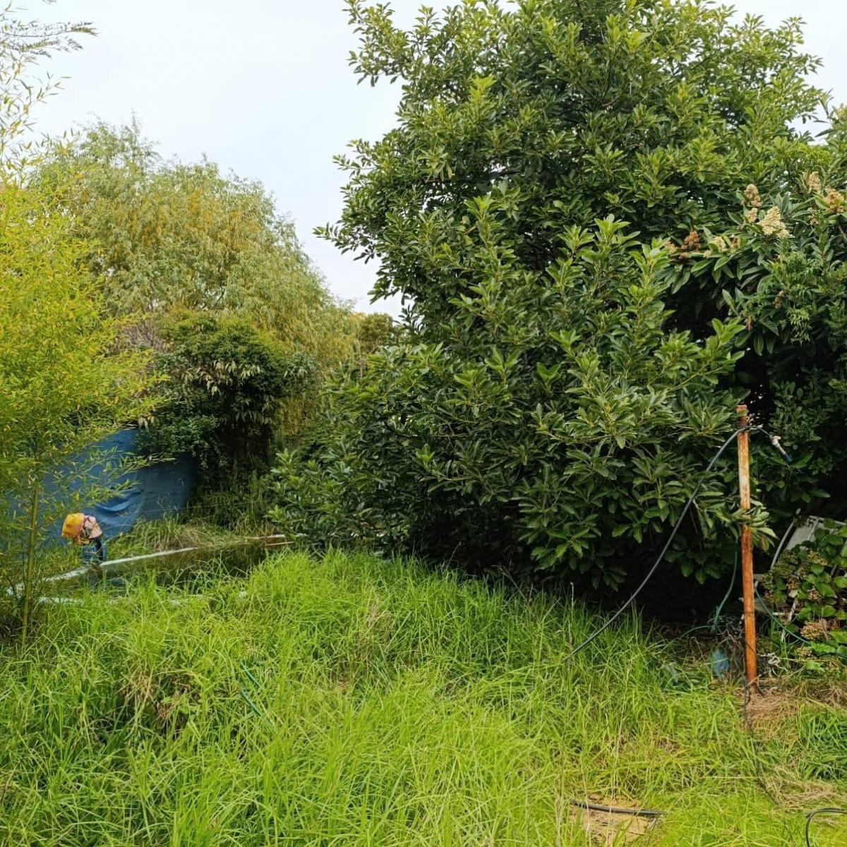 Terreno de 10.39 de frente x 27.71 de fondo — Constitución