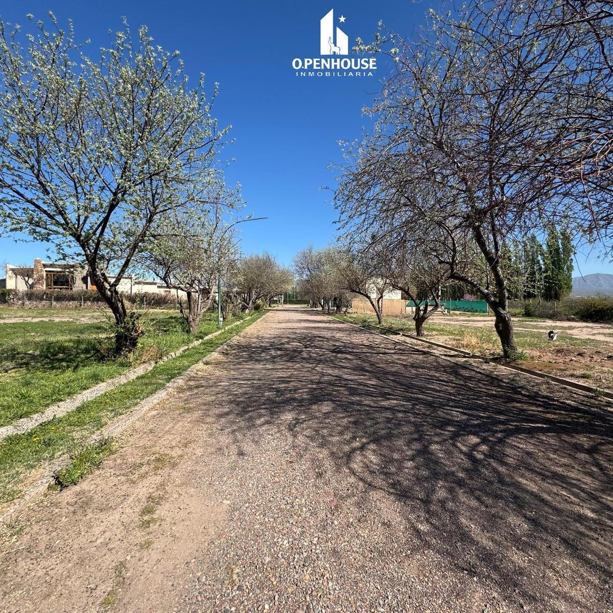 Barrio EL Envero, Luján de Cuyo, Mendoza