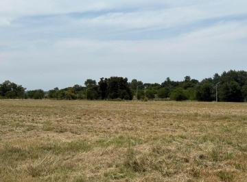 Terreno · 1600m² · Venta Lote Para Vivienda Al Lado de San Sebastian