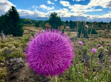 Terreno , San Carlos de Bariloche · Lote Bariloche
