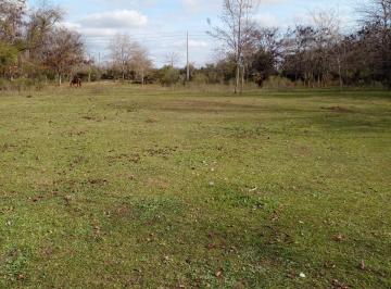 Terreno · 5338m² · Terreno en Venta en El Cazador, Escobar. Excelente Ubicación.