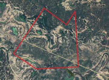 Campo · 16380000ha · Venta o Permuta Finca 1600 Has Rivadavia Banda Sud