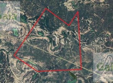 Campo · 16380000ha · Venta o Permuta Finca 1600 Has Rivadavia Banda Sud