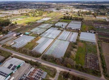 Campo · 5ha · Ha en Abasto en Venta - La Plata