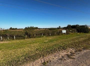 DIS-DIS-509_2 · Fracción de Terreno en Alquiler/venta - Mi Granja