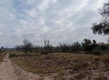 Terreno , Vistalba · Alquiler Terreno en Vistalba