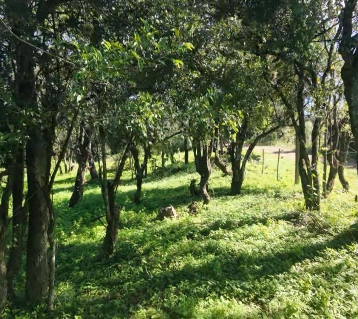 Camino del Cuadrado Km 0,  Salsipuedes, Córdoba