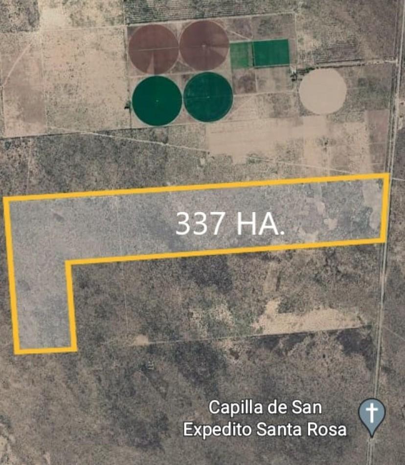 RP153, Mendoza, Argentina, Santa Rosa, Mendoza, Argentina.,  Santa Rosa, San Juan