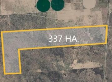 Campo · 337m² · Campo en Venta - Las Catitas, Santa Rosa (Mendoza) - 337 Ha