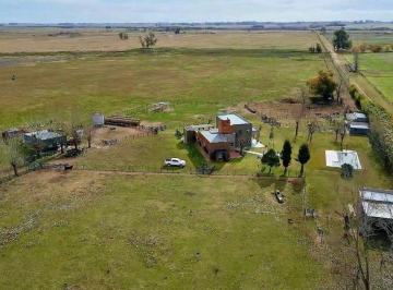 Campo , San Antonio de Areco · Venta | 36 Hectáreas con Casco de Estancia en San Antonio de Areco