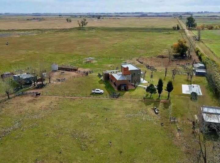 Campo · 36ha