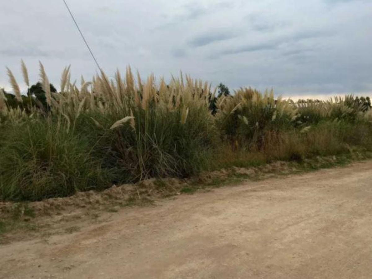 Tres Arroyos y Santa Fe,  Coronel Dorrego, Buenos Aires (fuera de GBA)