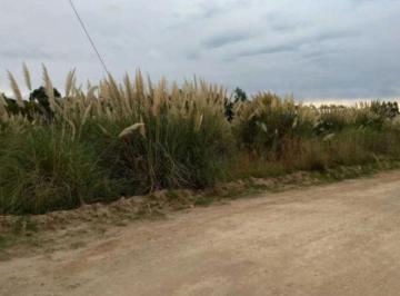 Terreno · 1007m² · Terreno en Venta - 1.007 m² - Balneario Marisol, Coronel Dorrego