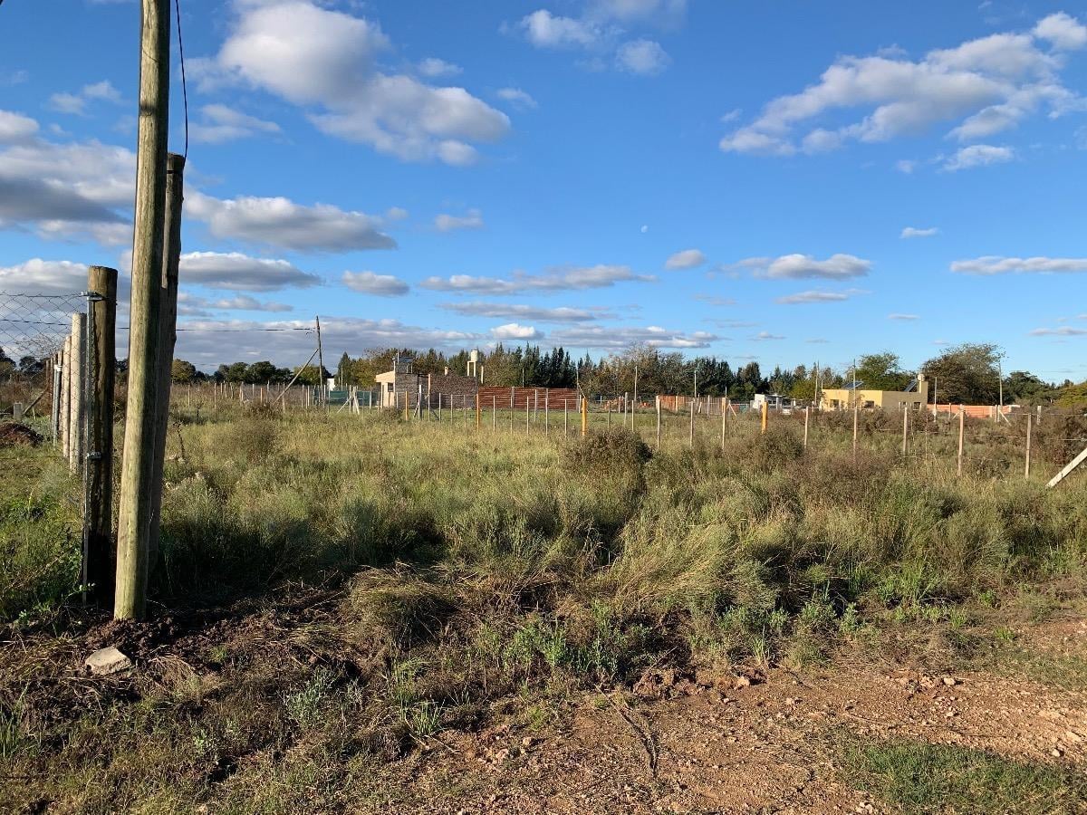 403 y 151 Bis, Arturo Seguí, La Plata