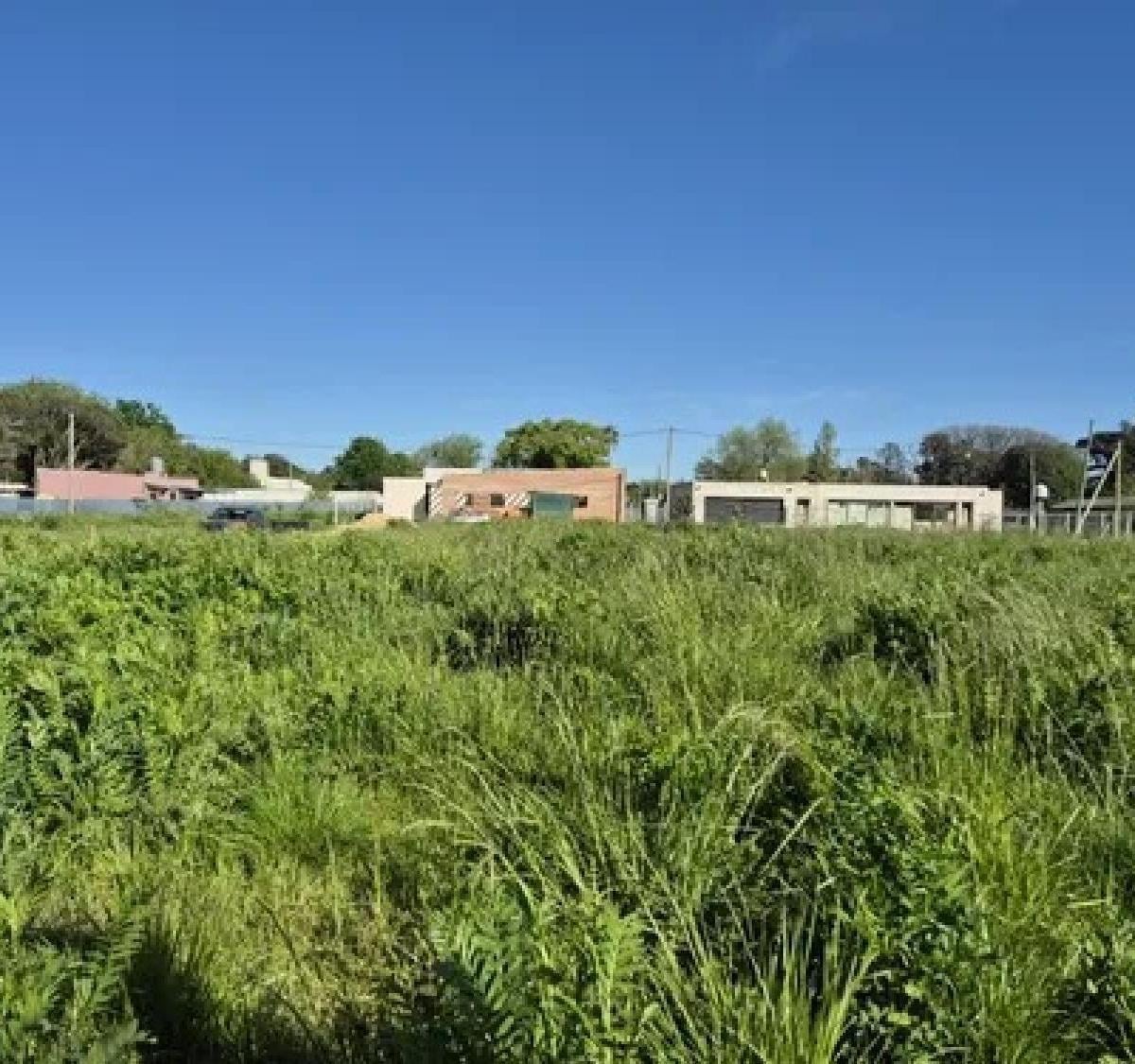 47 e/ 11 y 12, Villa Elisa, La Plata