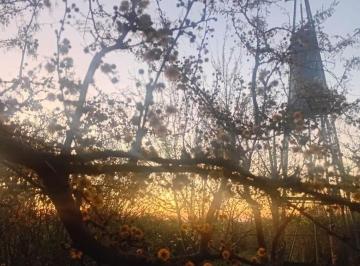 Campo , San Antonio de Areco · Venta Lote de 2 Hectàreas Rural con Viviendas