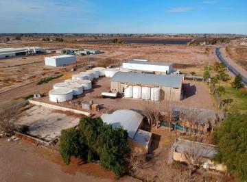 Campo · 15000ha · Venta Bodega Palmira Mendoza con Equipamiento