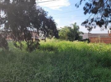 Terreno · 220m² · Lote en Adelina Centro, Santo Tomé