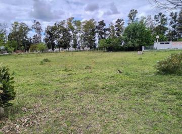 Terreno · 540m² · Venta Lote de Terreno Pilar La Lonja