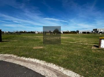 Terreno · 991m² · Rbs. Hermoso Lote en Area 8, San Sebastian