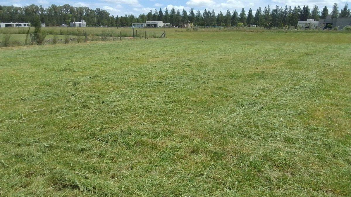 Campo de Roca Ll S/N, Coronel Brandsen, Brandsen