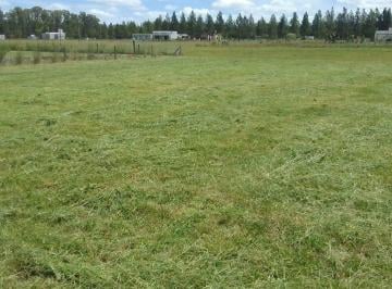 Terreno · 2356m² · Lote en Venta en Campo de Roca Ll