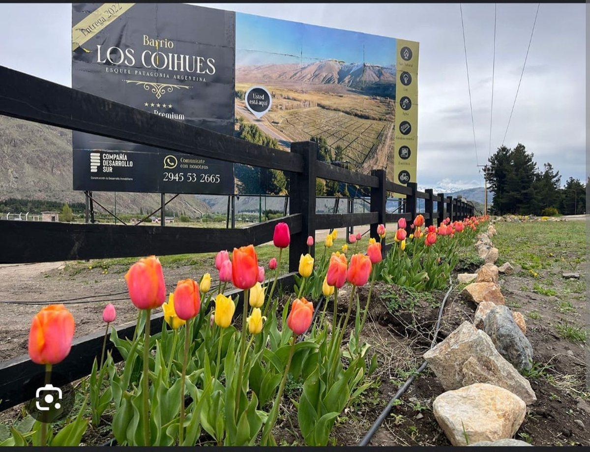 Esquel Chubut  Lotes los Coihues S/N,  Esquel, Chubut