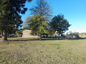 Campo · 100ha · Campo en Venta - 21,4 Ha - Bolívar